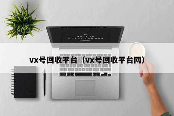 vx号回收平台（vx号回收平台网）