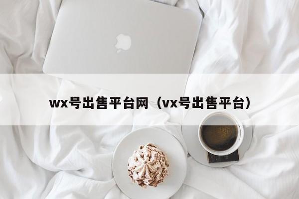 wx号出售平台网（vx号出售平台）